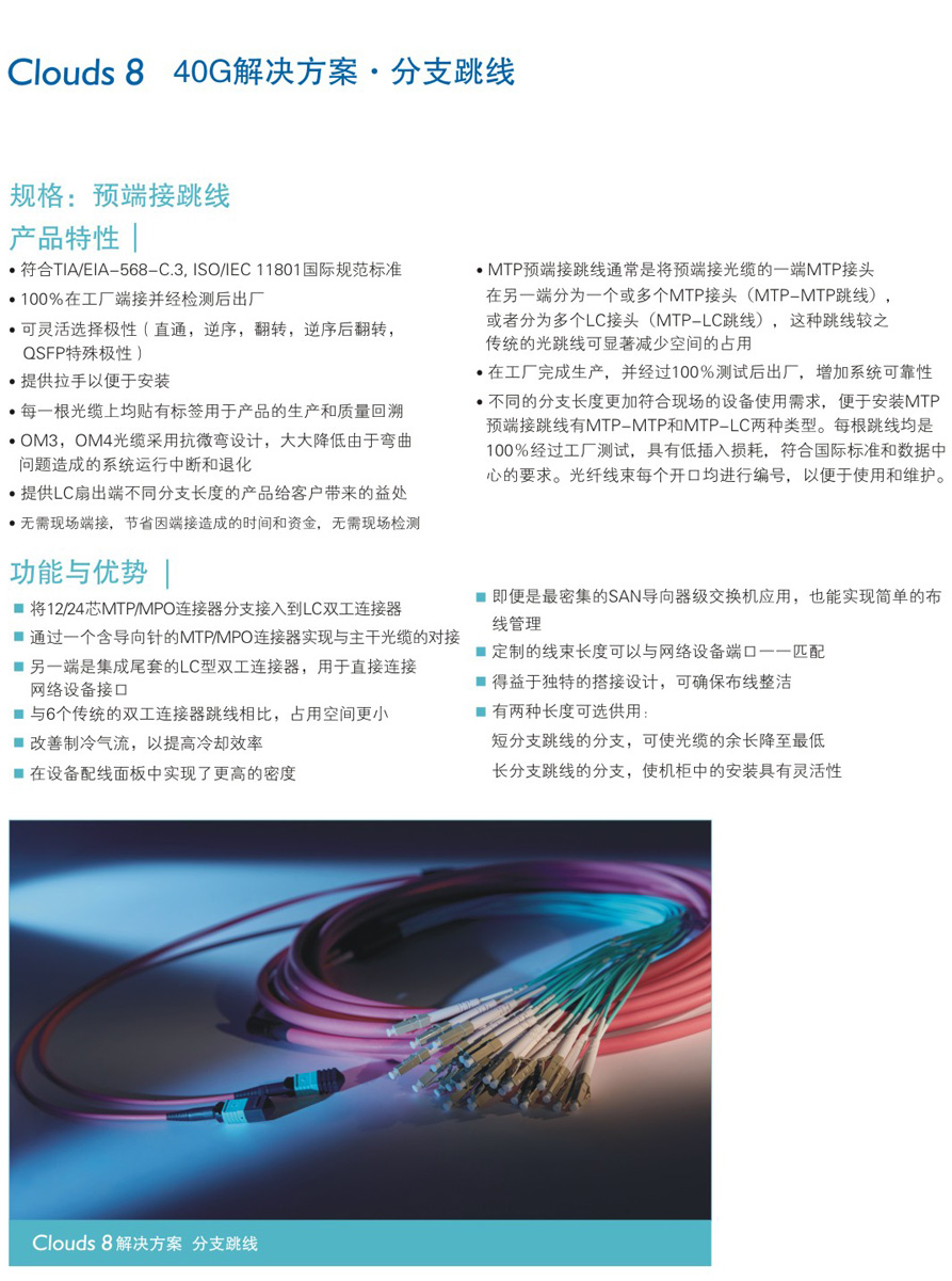 等长型分支跳线