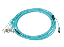 等长型分支跳线